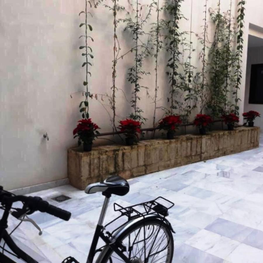 Estudio En Pleno Centro De Sevilla By Msholidays 외부 사진
